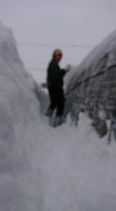 27718836_1592108374200556_125589278_n