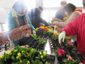 27751954_1595219763889417_1738797873165474658_n