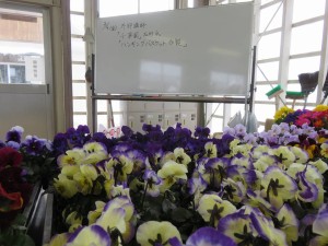 27972027_1595219733889420_6691843427590528739_n