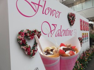 27973078_1596401947104532_418755360831425278_n