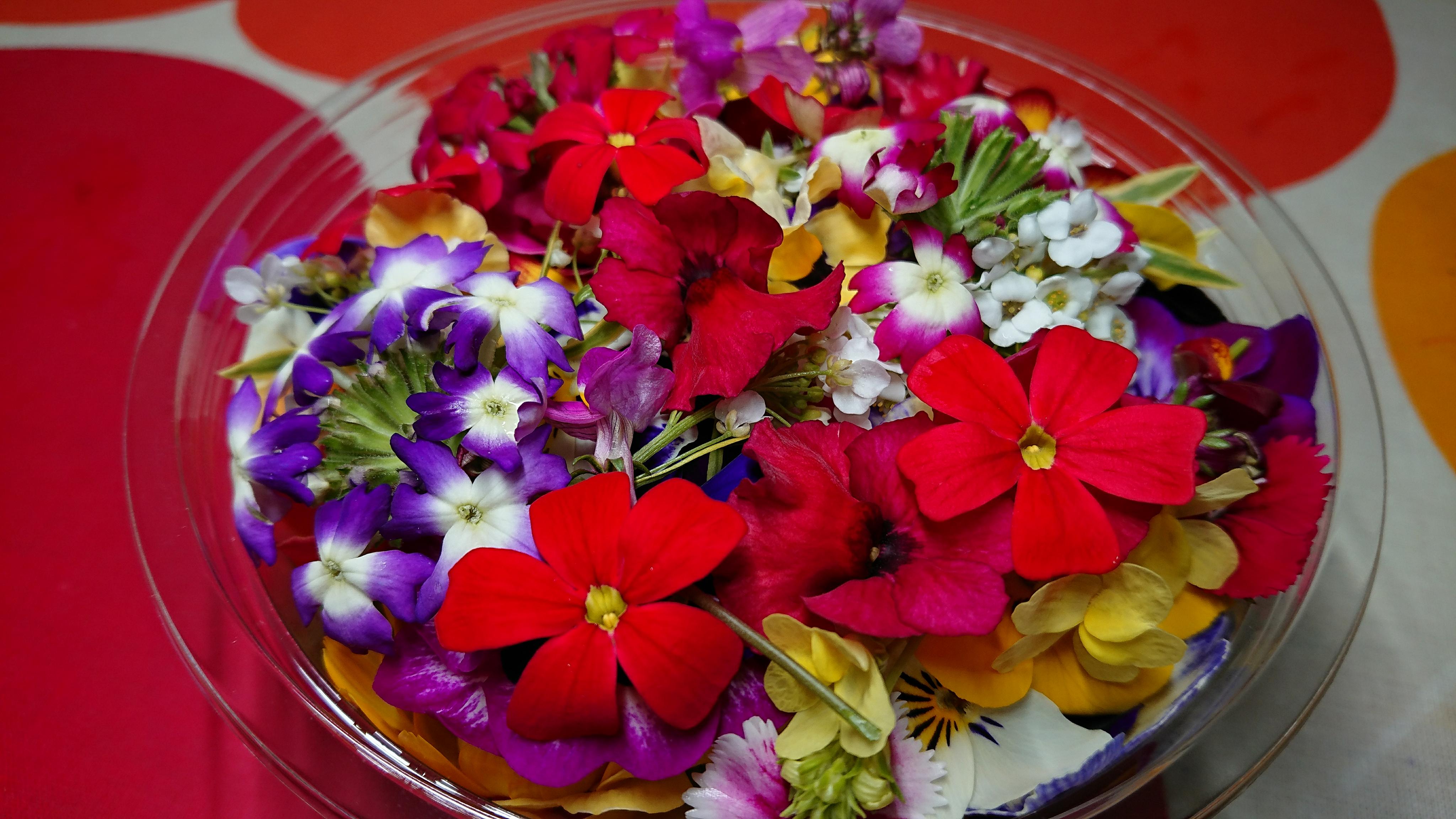 美食花毎日発送！！