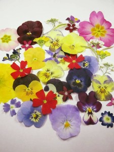 28056496_1606766952734698_6516170819774822474_n