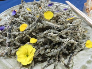 28058524_1603396269738433_7538658086574657142_n