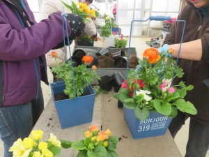 28081345_1611498925594834_1463796160_o