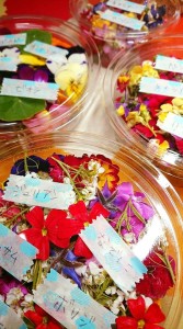 28166494_2000850016907920_2843440098313090626_n