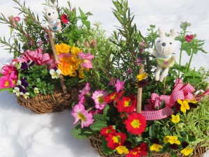 28169762_1602411853170208_943190023_o