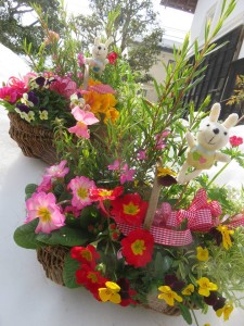 28176112_1602411836503543_1266337155_n