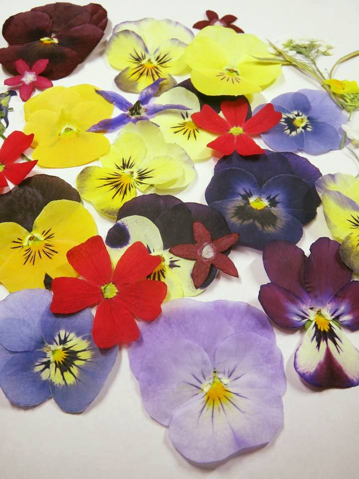 美食花ドライ製作