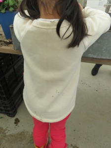 28381584_1611499725594754_1235775532_n