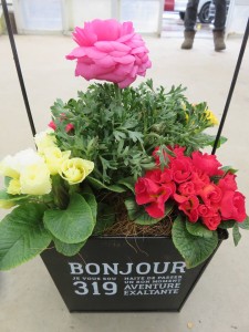 28449645_1611499718928088_1158954530_n