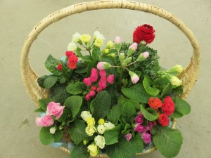 28460922_1611500678927992_2062681499_o