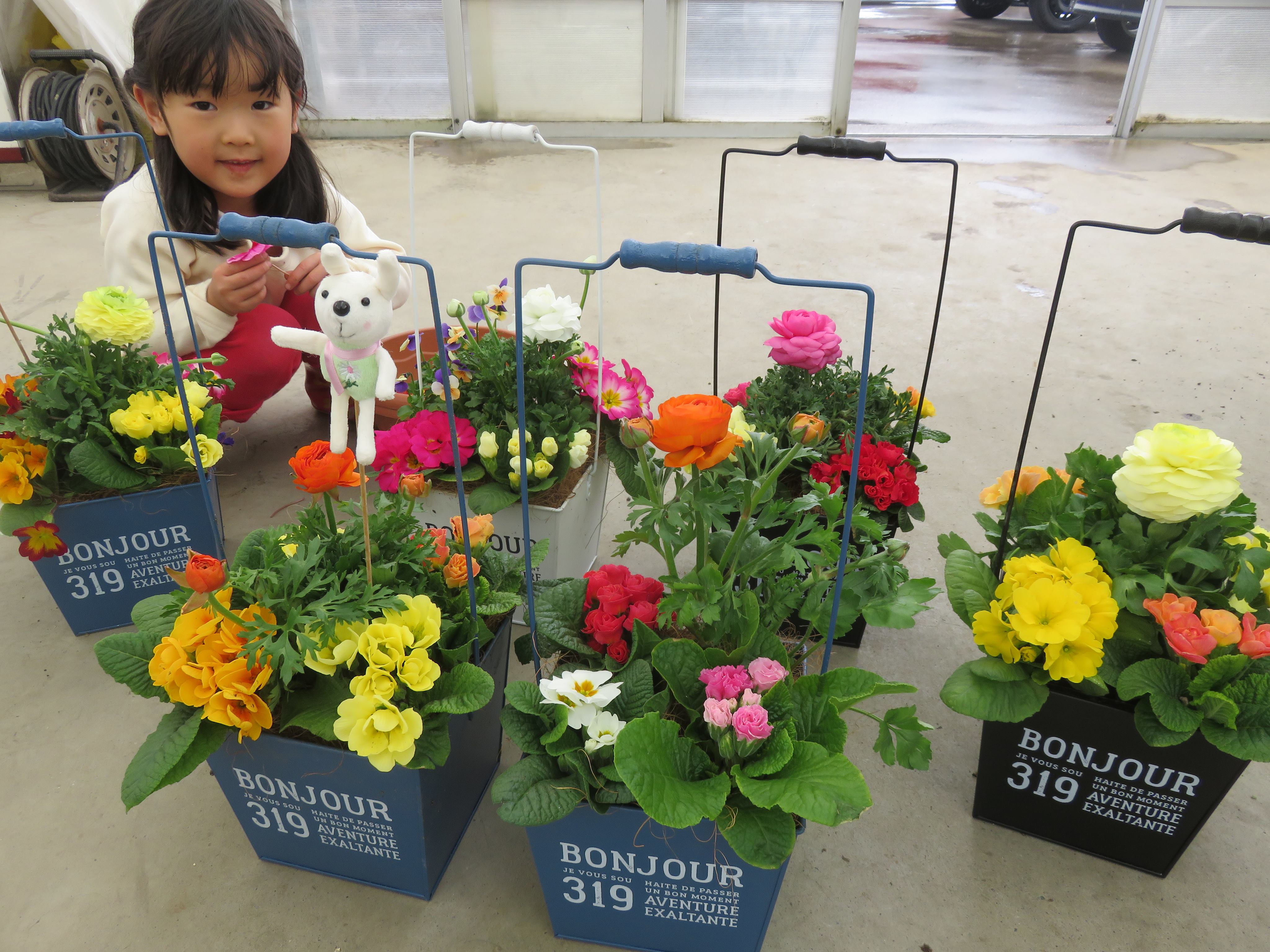 ＪＯＹ☆愛らしいジュリアンの寄せ植え