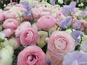 28472022_1618799048198155_5118974506313260006_n