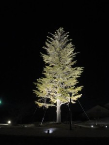 28537898_1620701441341249_1878400328_n