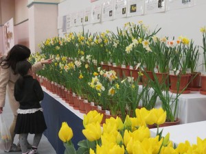 28685069_1618798994864827_1761603057222671873_n