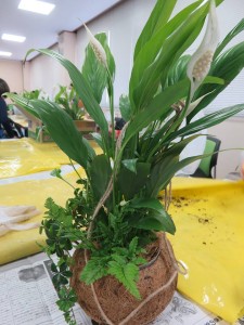 28741695_1624568434287883_1509475131_n