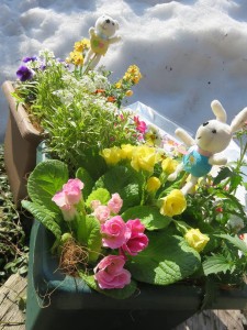 28832400_1629690987108961_1980593420_n