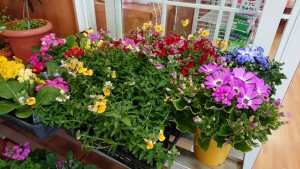 28879191_1625673370844056_1226162391_o