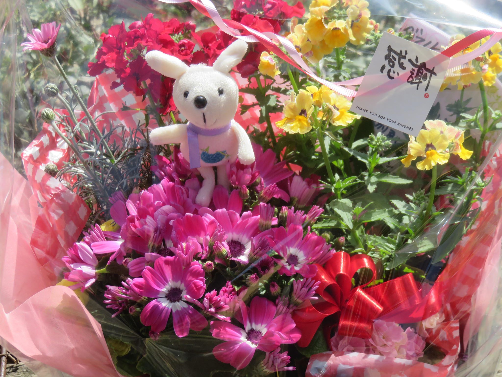 今日もフラワーンダフル☆