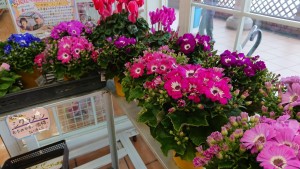 28944132_1625673367510723_85938105_o