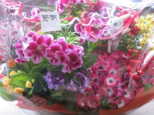 28946096_1638312329580160_925801825_o