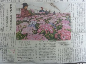 28954002_1628022227275837_7439071979226666172_o