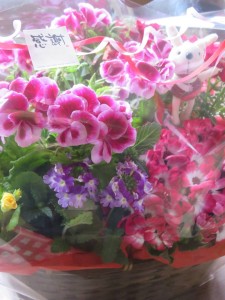 29137908_1638312352913491_1937181005_n