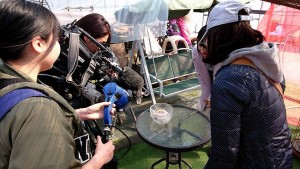 29177330_1630159833728743_4835131485222517440_n