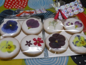 29243062_1638312162913510_715460587_o