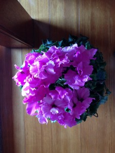 29340873_1643096032435123_1689151918_n