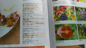 29391203_1641001075977952_1594058387_o