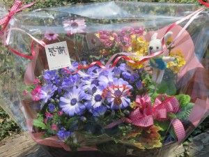 29527597_1645306418880751_1896297397_o