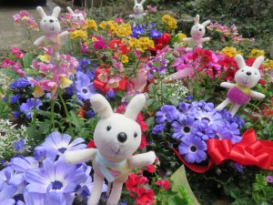 29633086_1645307178880675_263964923_o