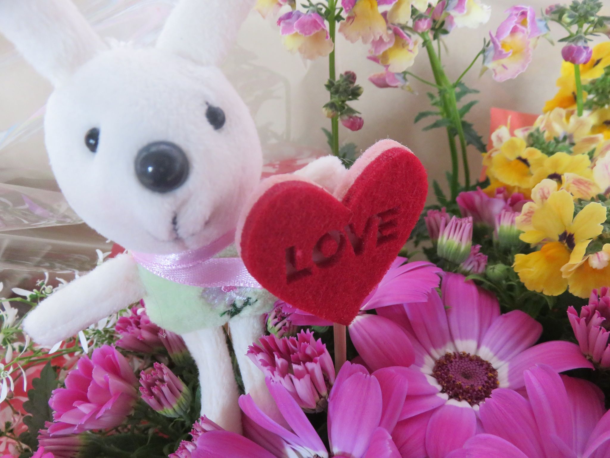 フラワーンダフルがいっぱい☆（つづき）