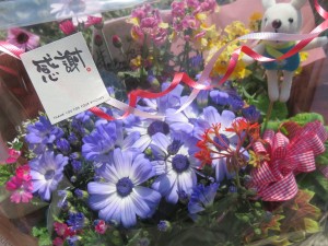 29680585_1645306398880753_1534777837_o