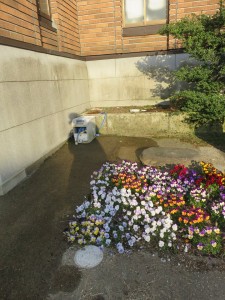 29745554_1648434568567936_1563820565_n