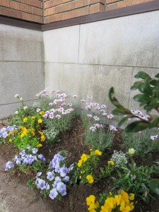 29745638_1648435605234499_1742993066_n