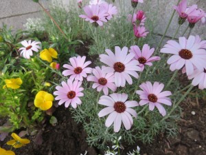 29830615_1648435595234500_1294834815_o