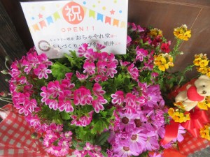 29831540_1648435611901165_1410728772_o