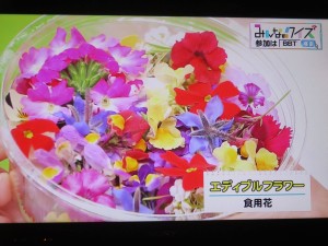 29749599_1656955127715880_6300495852734107399_o