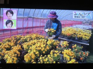 29749679_1656955414382518_2250137713123919967_o