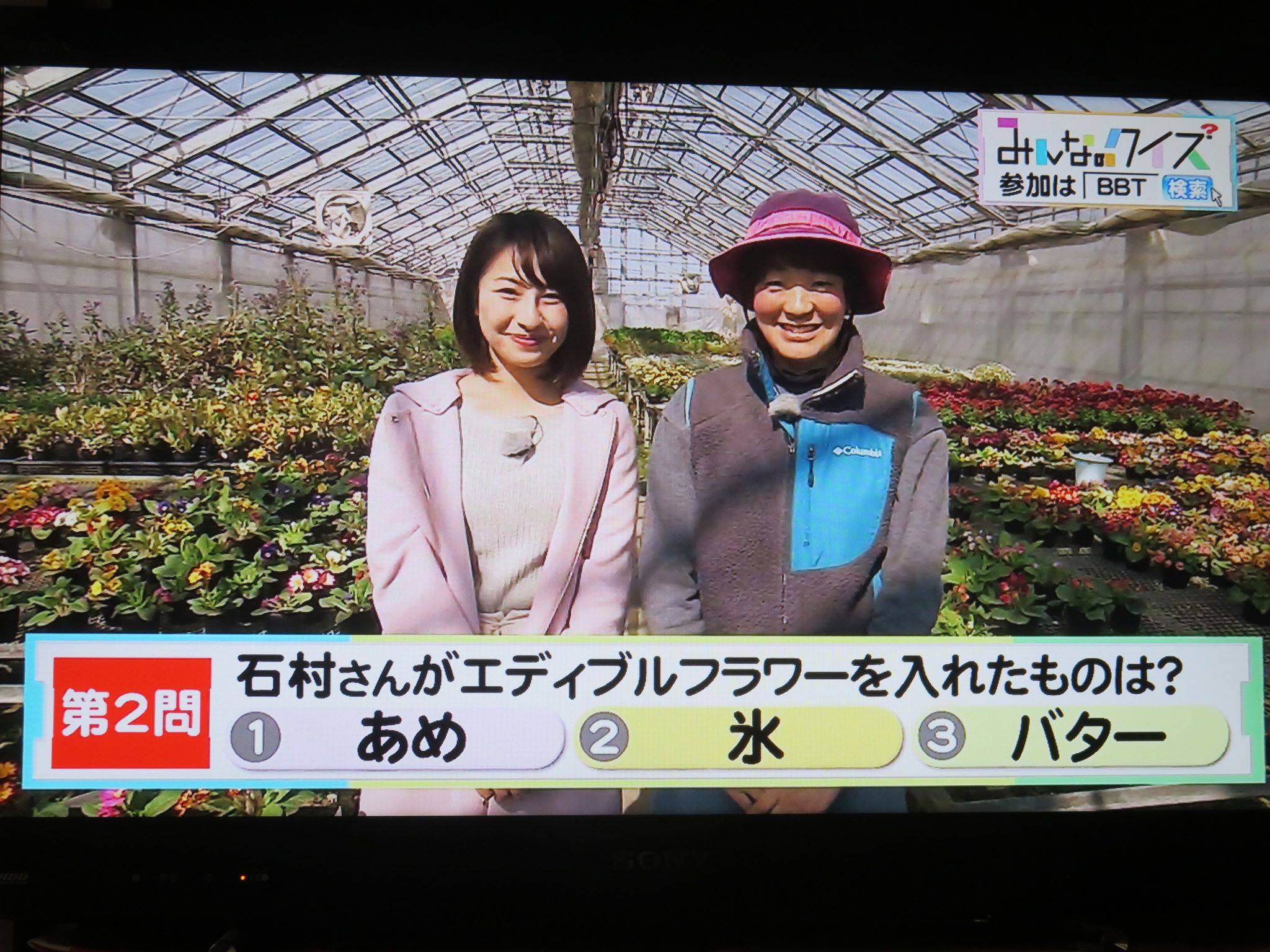 クイズは正解しましたか～？？(笑)