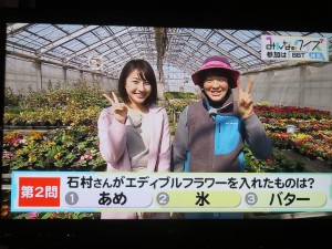 29871528_1656956177715775_6065054293648095559_o