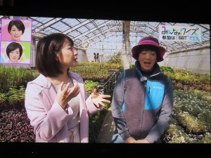 29872492_1656955624382497_7816858416605854864_o