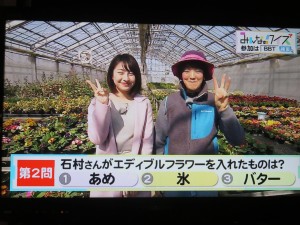 29872892_1656956124382447_767106468723824959_o