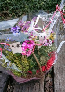 29939003_1653078488103544_640291169_n