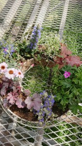 29939649_1653598264718233_764585320_n