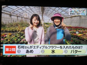 29983115_1656956107715782_8945034230465716010_o