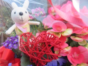 29994498_1651460054932054_630211173_o