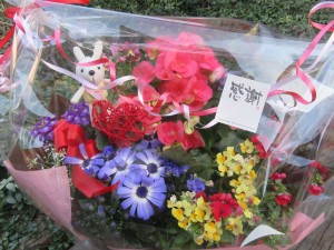 29994789_1651460061598720_1330900690_o